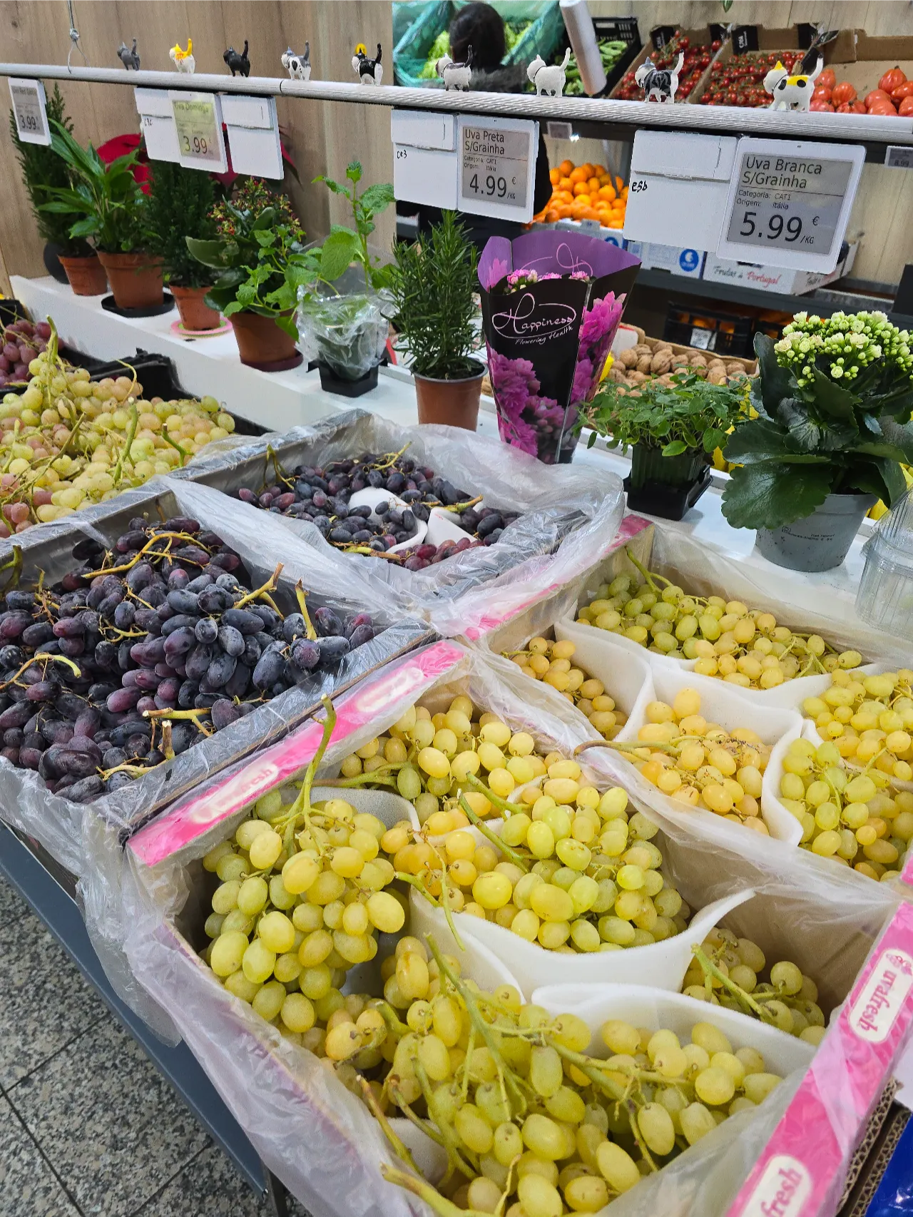 Detailed shot of fruit presentation
