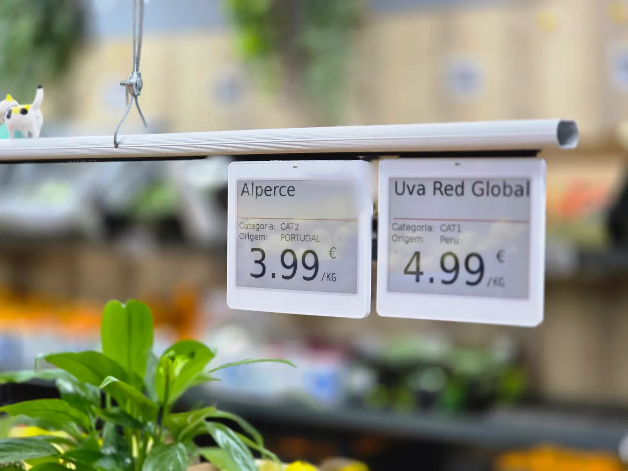Close-up of modern electronic price tags