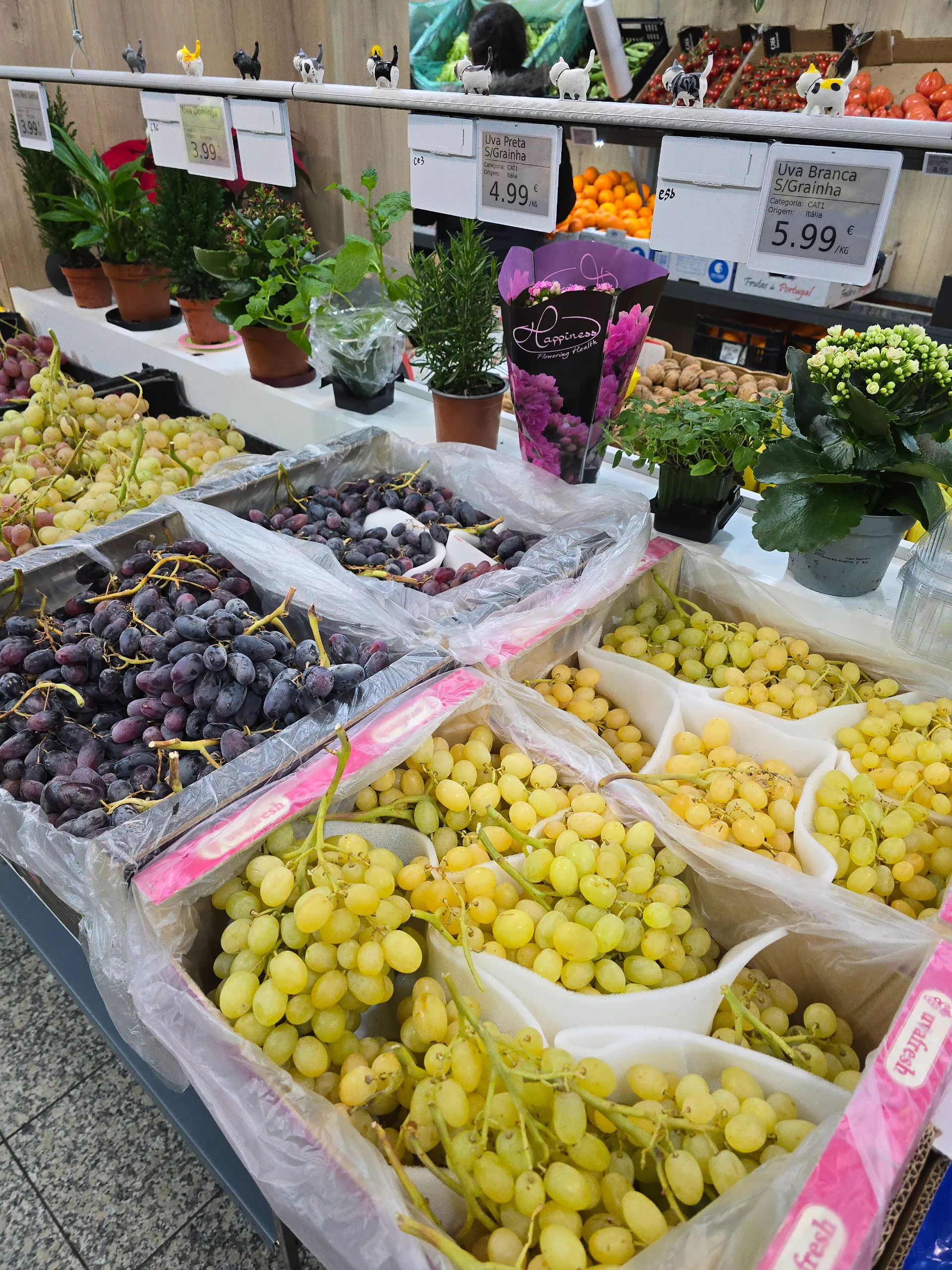 Fresh berries and mediterranean fruits
