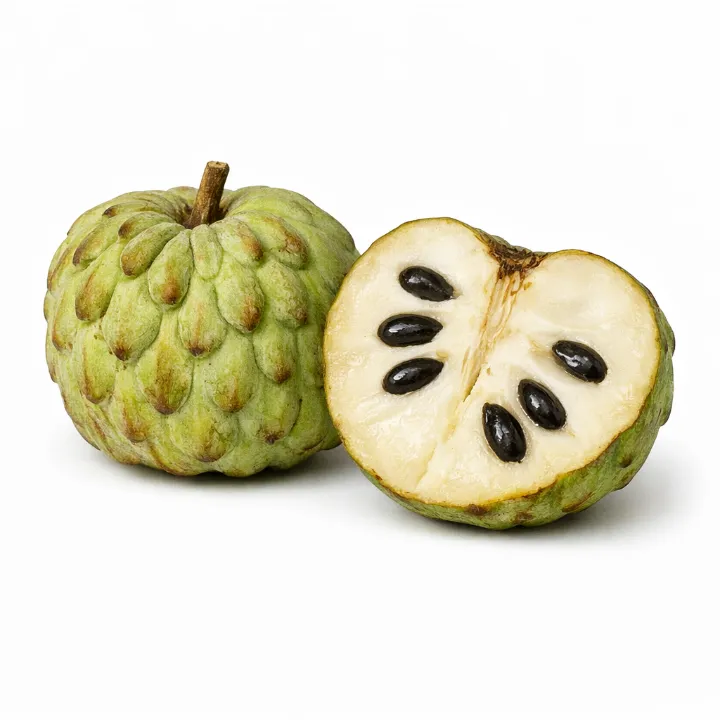 Anona da Madeira